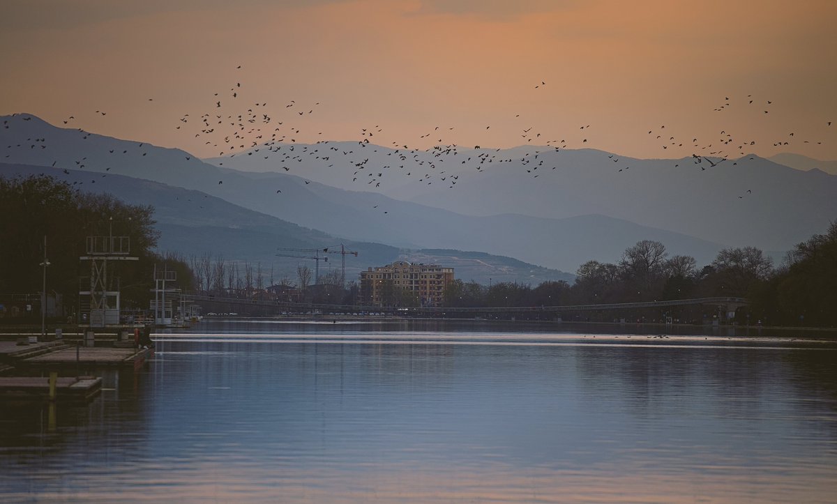 #blooddrainerphotography #photography #bulgaria #photooftheday #spring #sunset #plovdiv #flyingbirds #birds #water #waterscape #mountains #reflection

photography.blooddrainer.net
patreon.com/antonatanasov
instagram.com/blooddrainera/
flickr.com/photos/blooddr…
x.com/blooddrainera