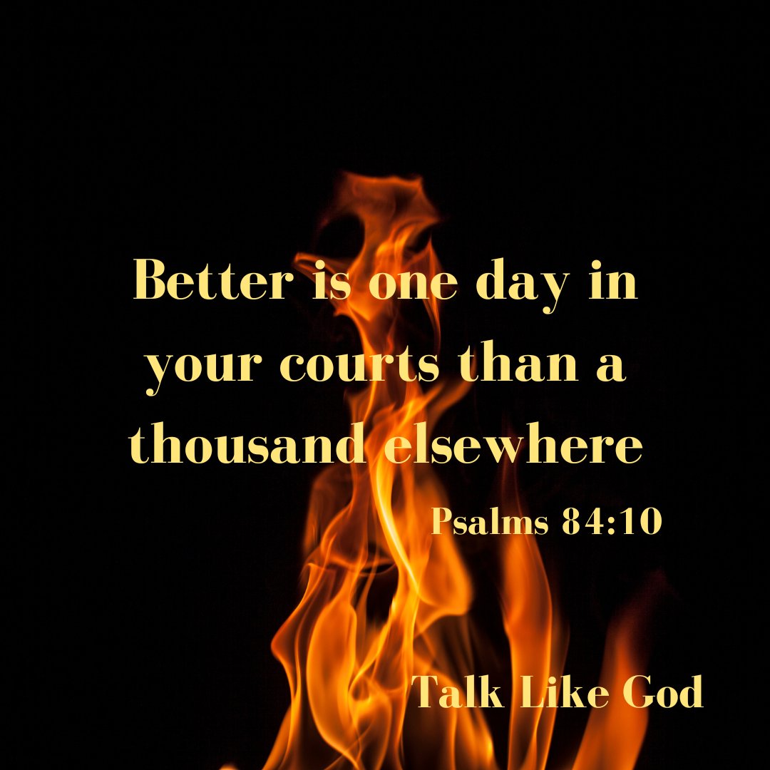 TALKLIKEGOD's tweet photo. Better is one day in your courts.
#Psalms84v10 #betterwithGod #itsbetter #better #oneday #courts #asingleday #temple #onethousand #TalkLikeGod #March2023 https://t.co/KTANNM3F4u