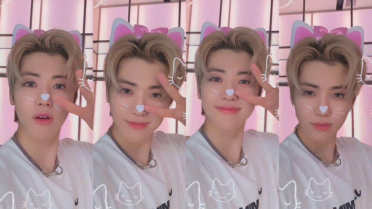 Sha On Twitter jaemin Is The Prettiest Cat In The World sha-on-twitter-jaemin-is-the-prettiest-cat-in-the-world