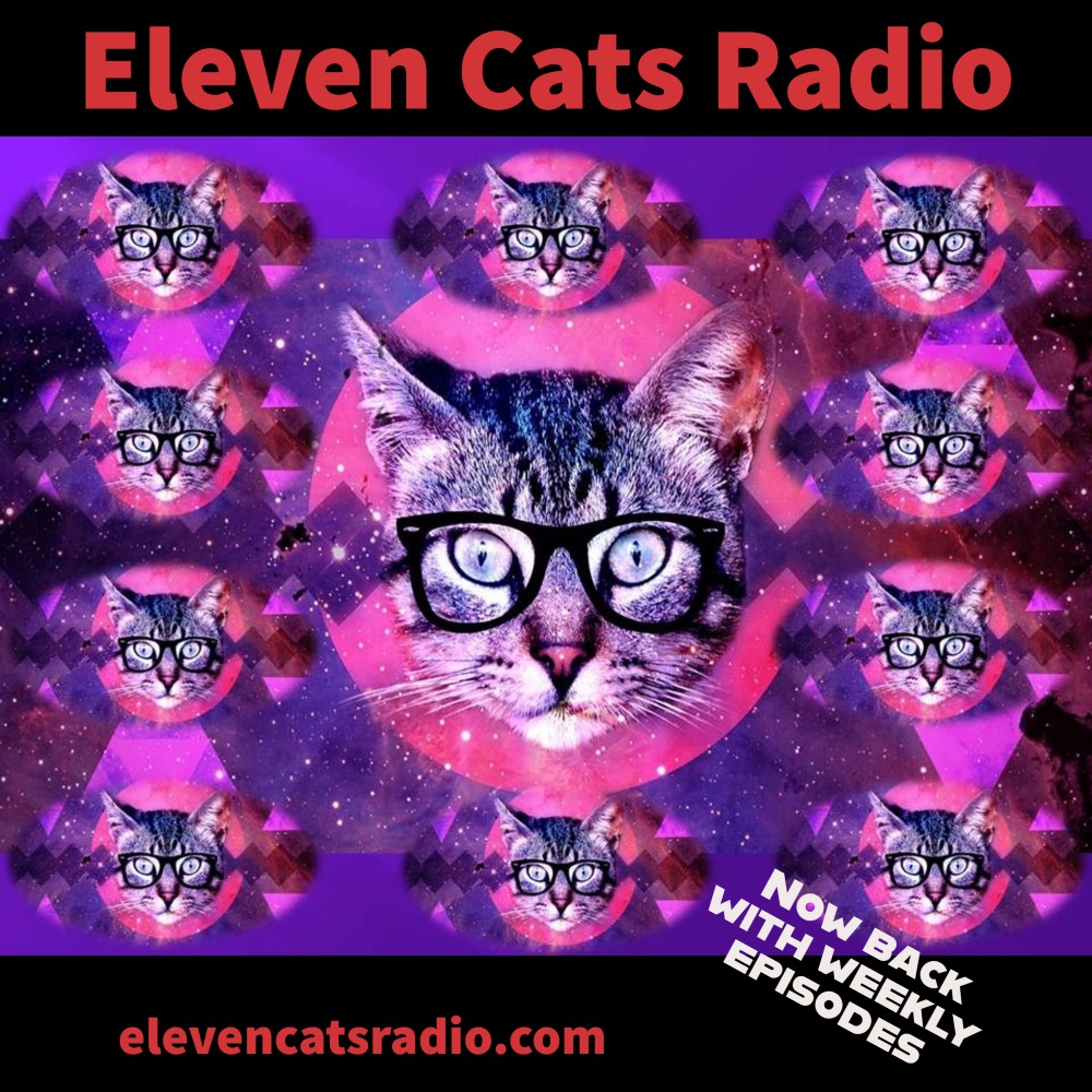 It's back! Episodes are refreshed &amp; air weekly.
So, put your cat glasses on &amp; find out what cats want you to know as we explore their world through their eyes. Enjoy the first 3 episodes!
🐺elevencatsradio.com🐺
#cats #catcare #caringforcats #catradio #elevencatsradio