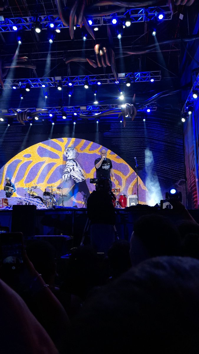 Patooo 🎩 tweet media