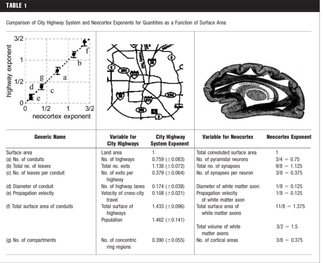 Mark Changizi tweet media
