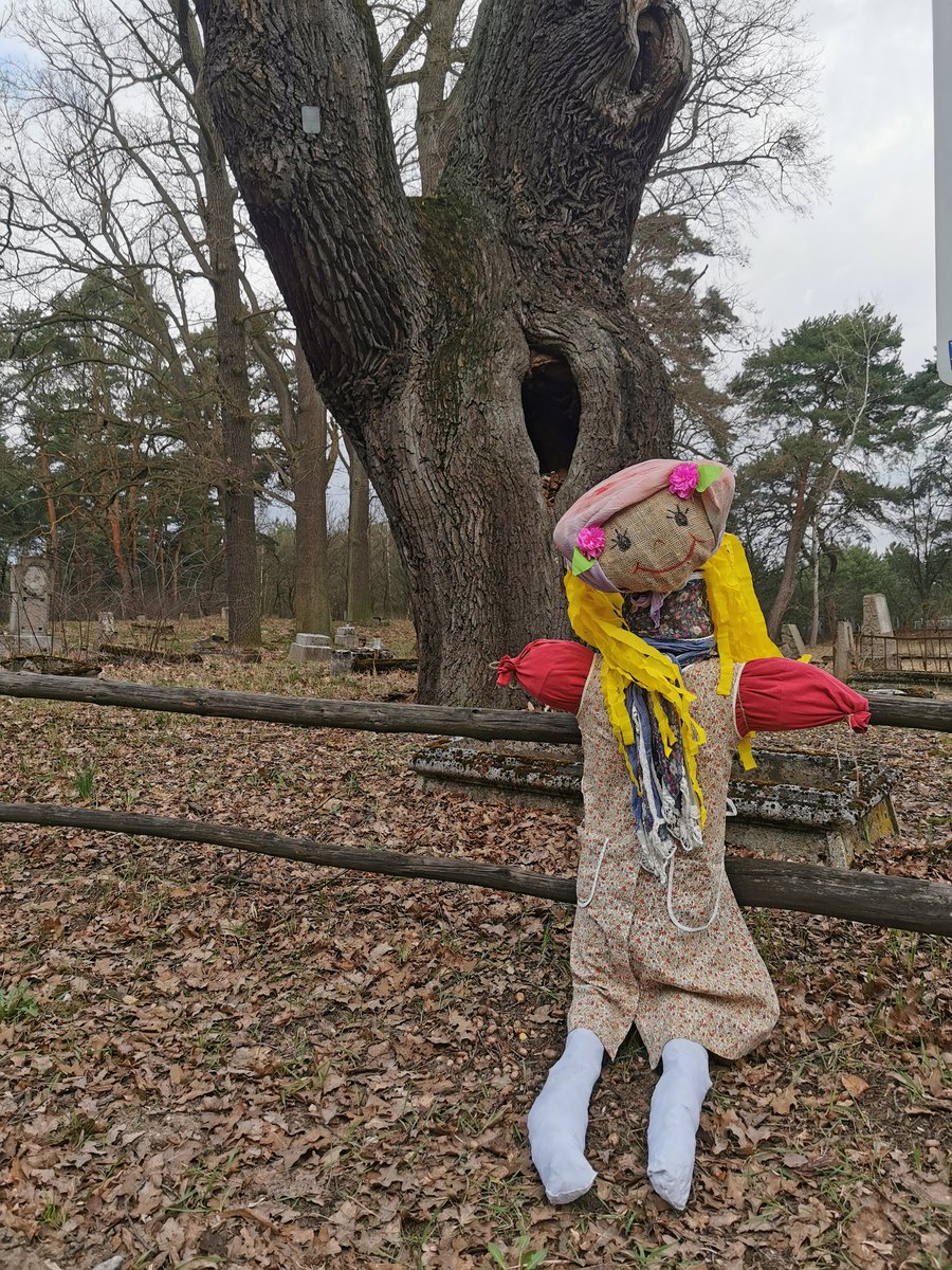 ylllayllla's tweet image. Rajd Topienia Marzanny
#pttk #pttktoruń