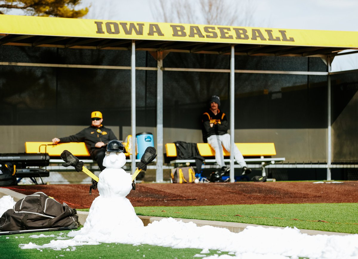 Iowa Baseball tweet media