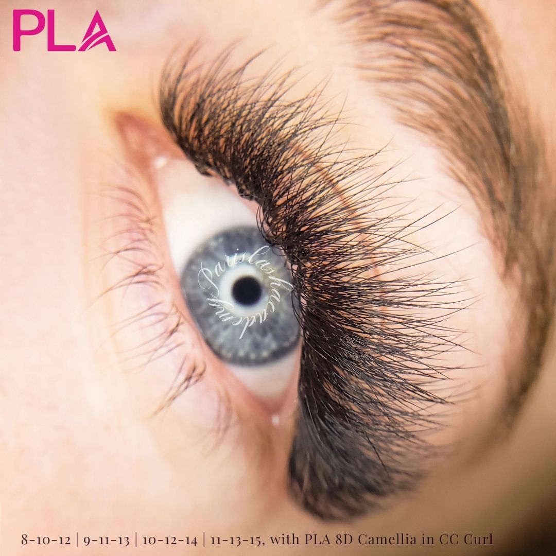 PLApro_'s tweet image. What are Camellia Fans?
ProMade Fans
3-lengths per fan
Perfect for textured sets

When we map Camellia Fans, we focus on the middle length, so truly we’re mapping 10-11-12-13mm for this set.

#ParisLashAcademy #CatEyeMapping #LashMapping #wispylashes #kimklashes