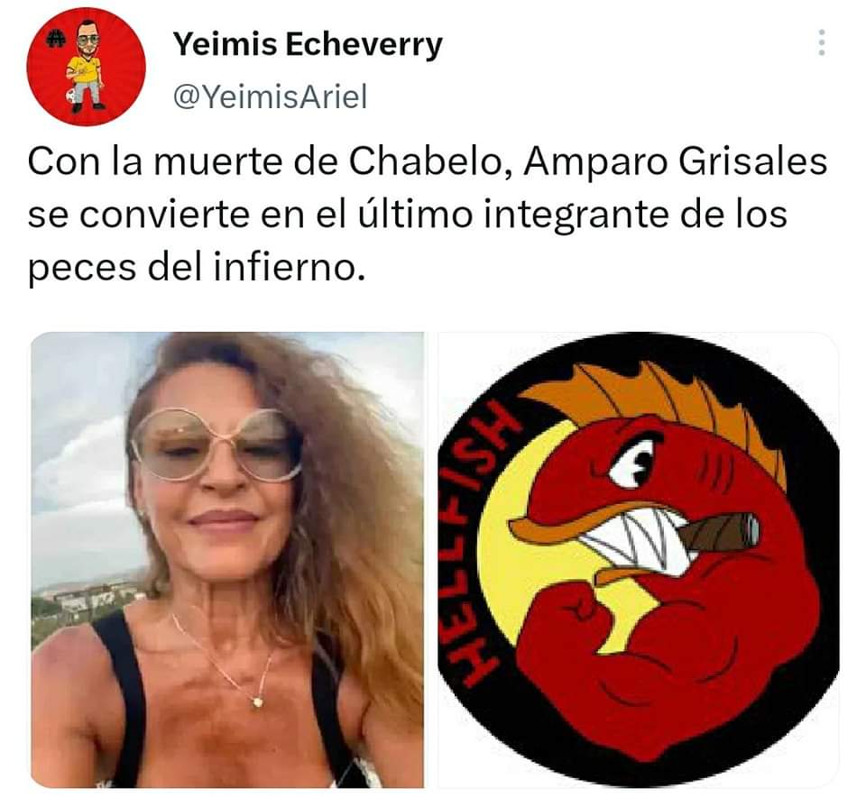 armancastell tweet media