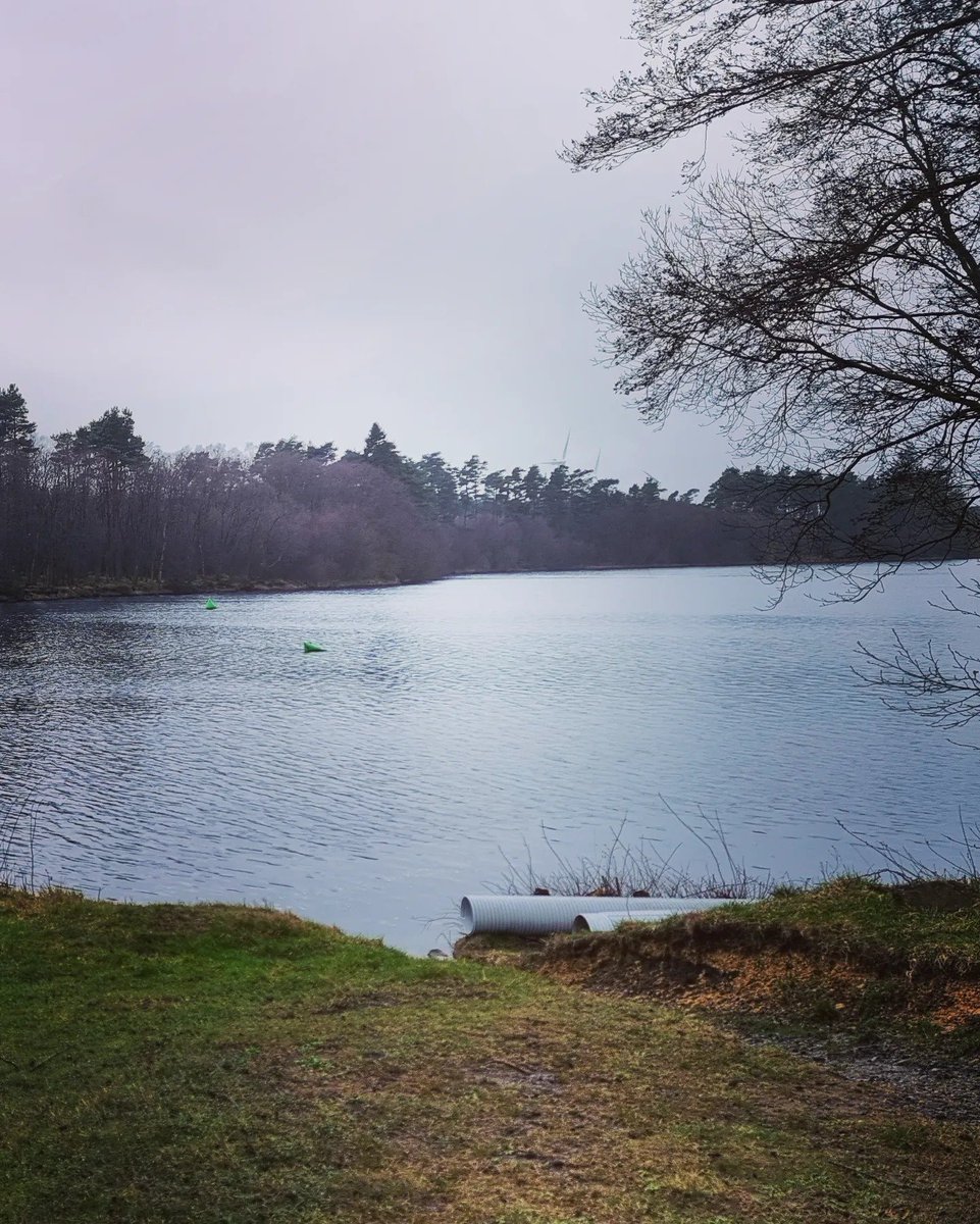 Got down to a toasty 8°C down at the lake today. Good to be back after Covid. 
#swimming #icewater #iceswimming #swim #nature