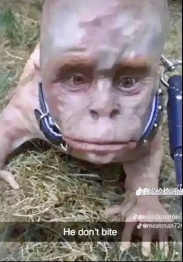 Scarcify tweet media