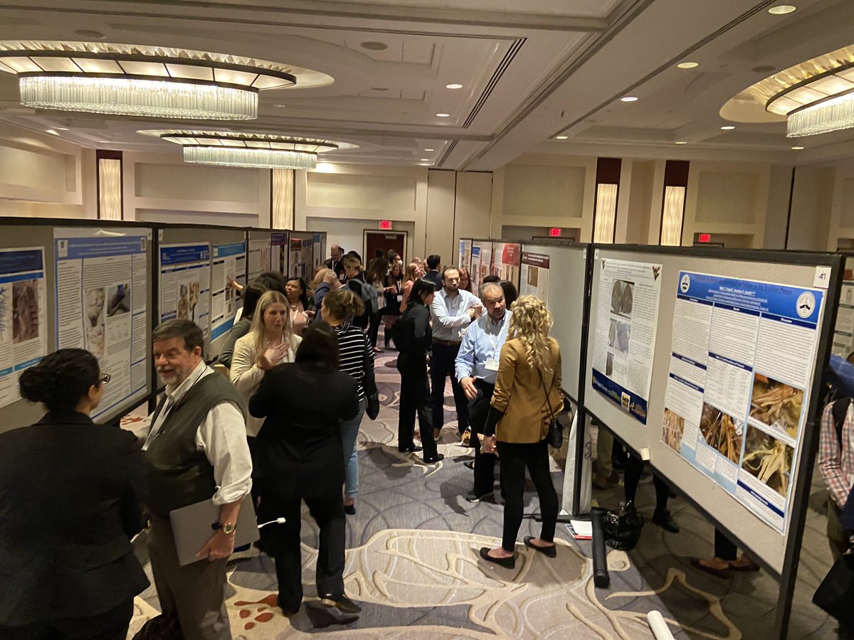 Poster Sessions at #AnatomyConnected2023. This is where are the cool people are. #anatomy22