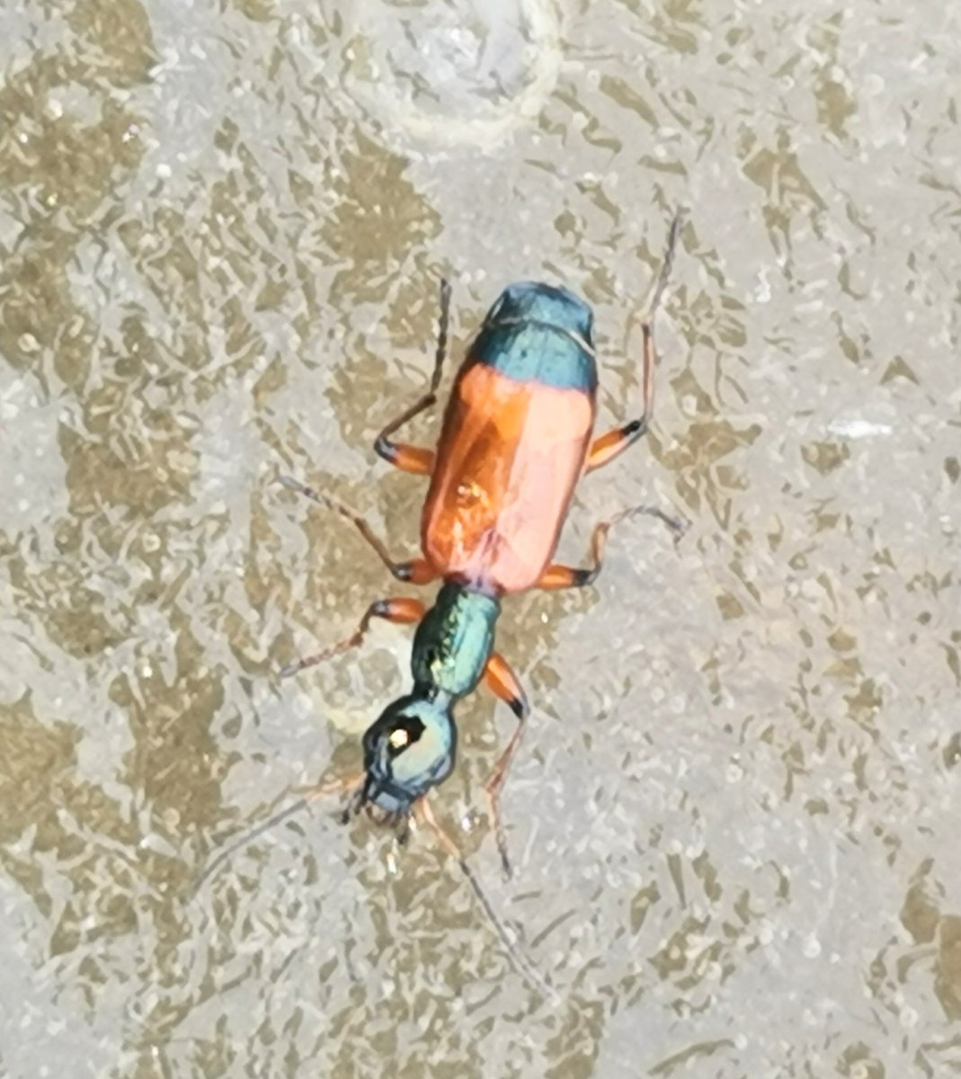 Ilkka Kaita-aho tweet media