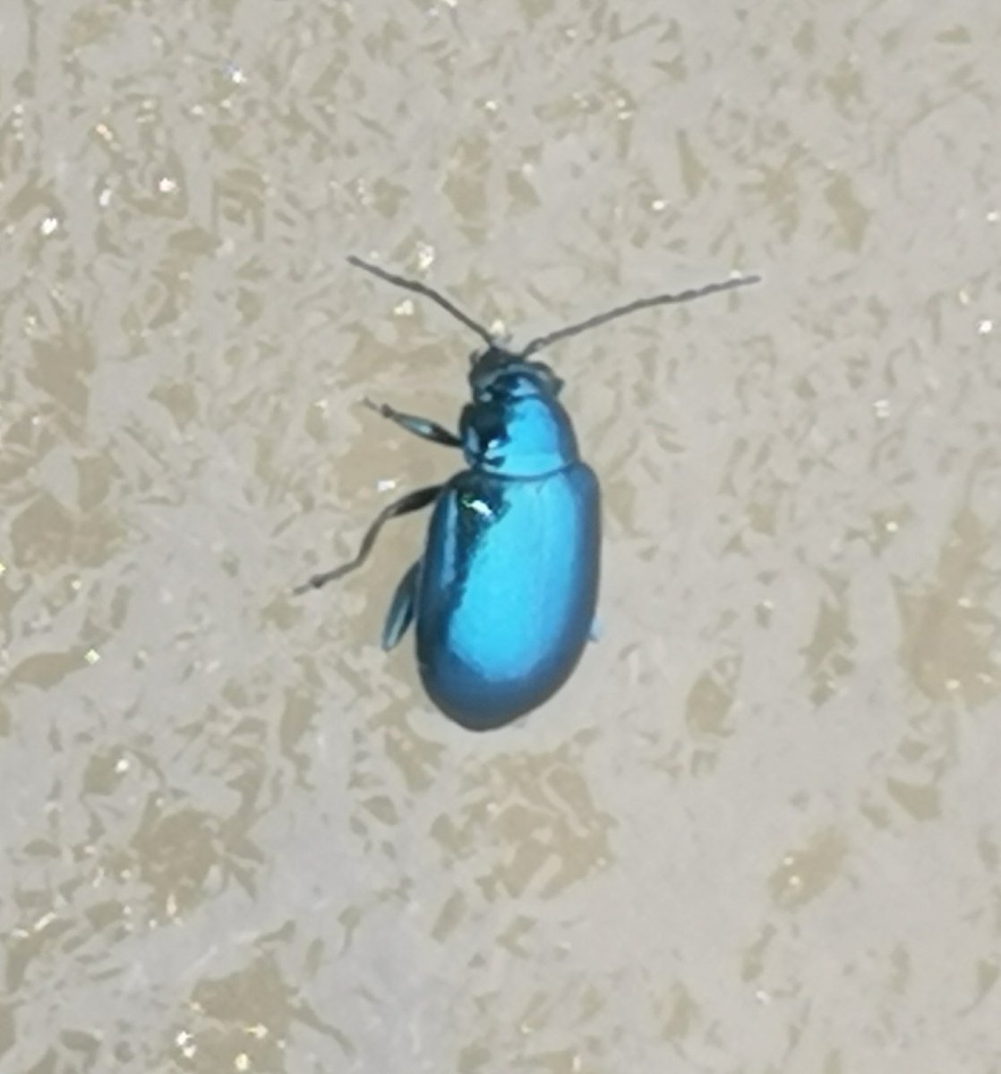 Ilkka Kaita-aho tweet media