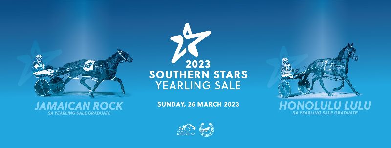 ASBAAust's tweet image. SALES DAY -The 2023 Southern Stars Yearling Sale today at  Gawler/Barossa Jockey Club Complex, Barnet Road, Evanston.
Yearling Parade at 12 noon
Sale starts 1:00pm
Details at sabotra.org.au
@HarnessBreeders @vege07 @HRNSW_Harness @HartwigChrisA