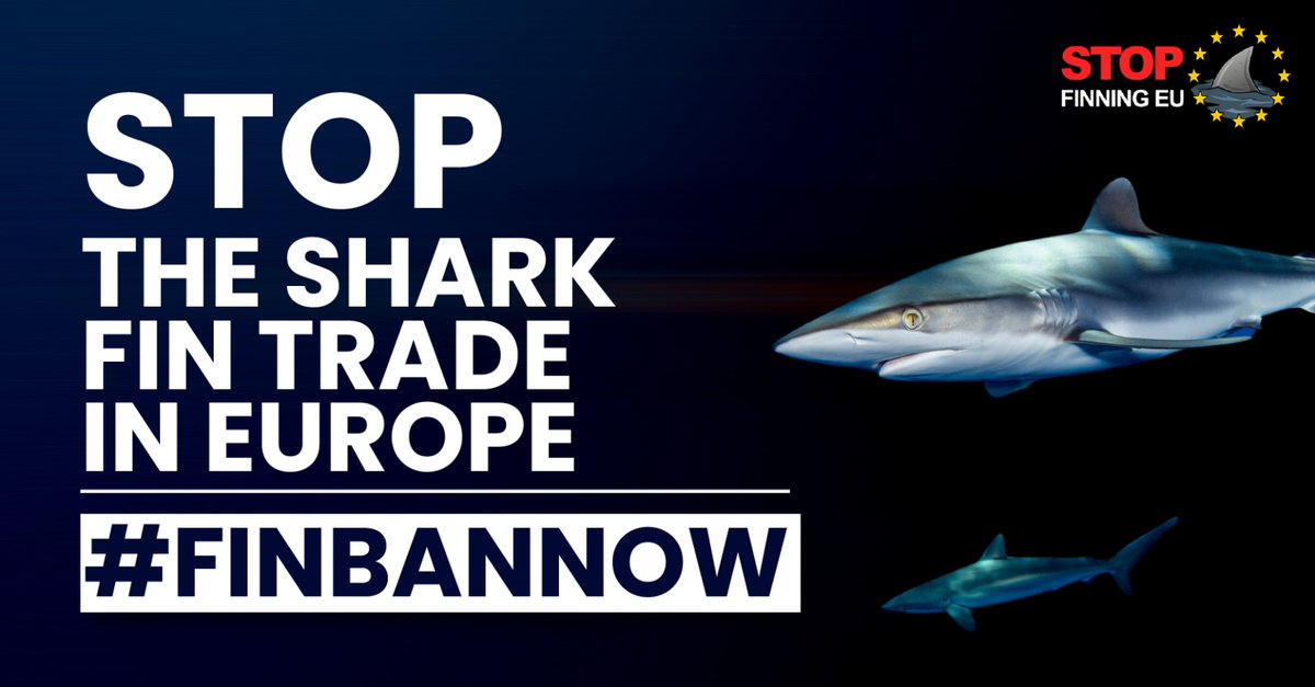 stopfinning.es tweet media