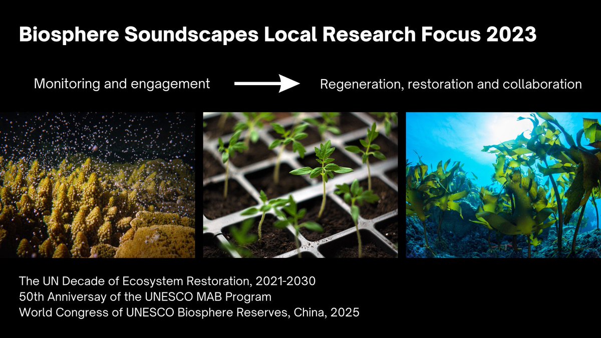 BiosphereSoundscapes tweet media