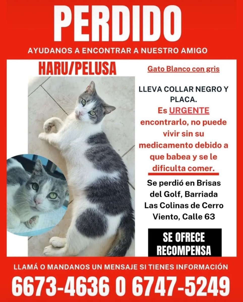 spaypanama's tweet photo. Servicio social, gracias por compartir https://t.co/AePDBQuecw