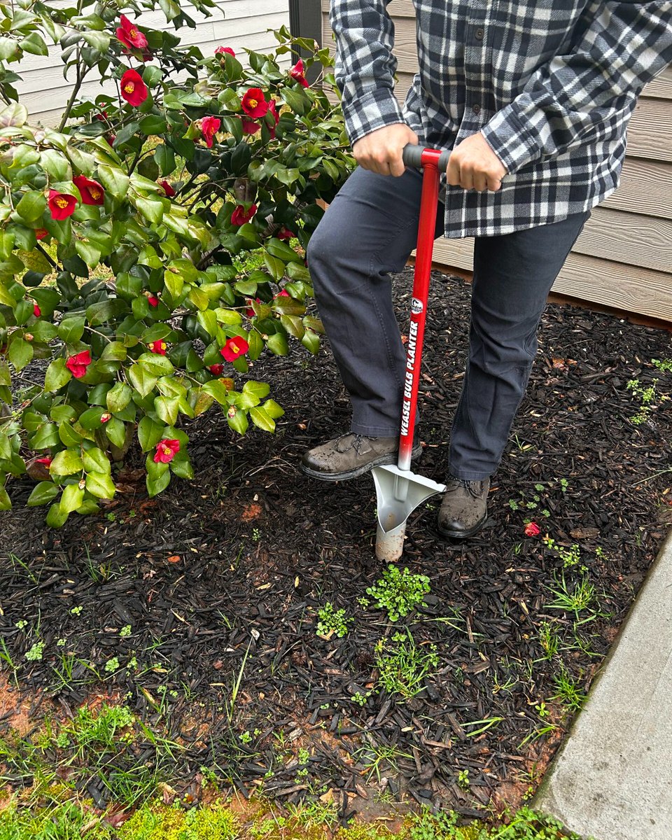 weasel_garden's tweet photo. Save time planting with Garden Weasel's bulb planter!

Its sharp blade and pointed tip design allow for effortless digging and planting.

https://t.co/gtREEAaVRA https://t.co/T2eOGnboT6