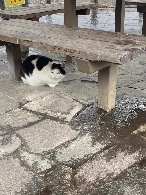 おはようございます 