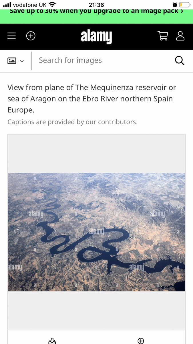 Julia Kang tweet media