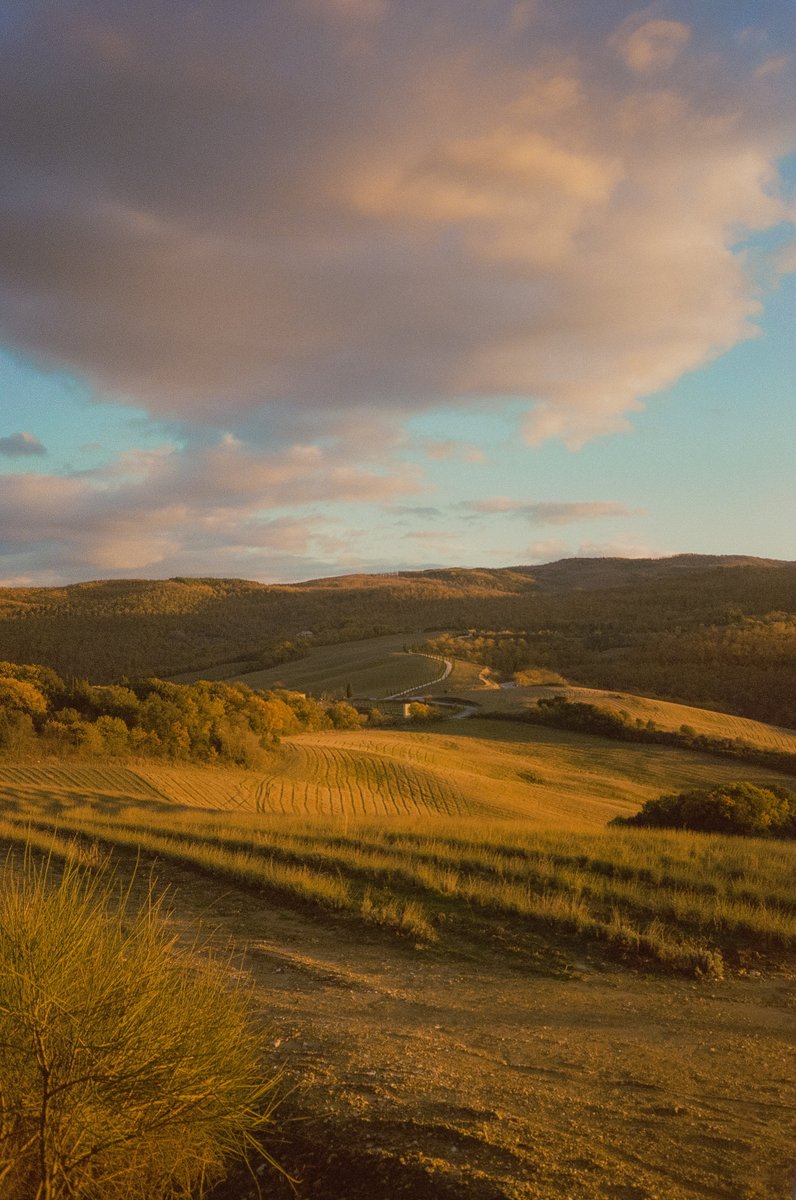 AlexKittoe's tweet photo. Tuscany on 35mm https://t.co/1lSXhyhvlS