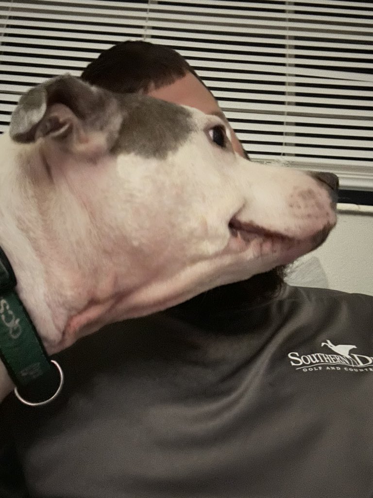 Shane Rice tweet media