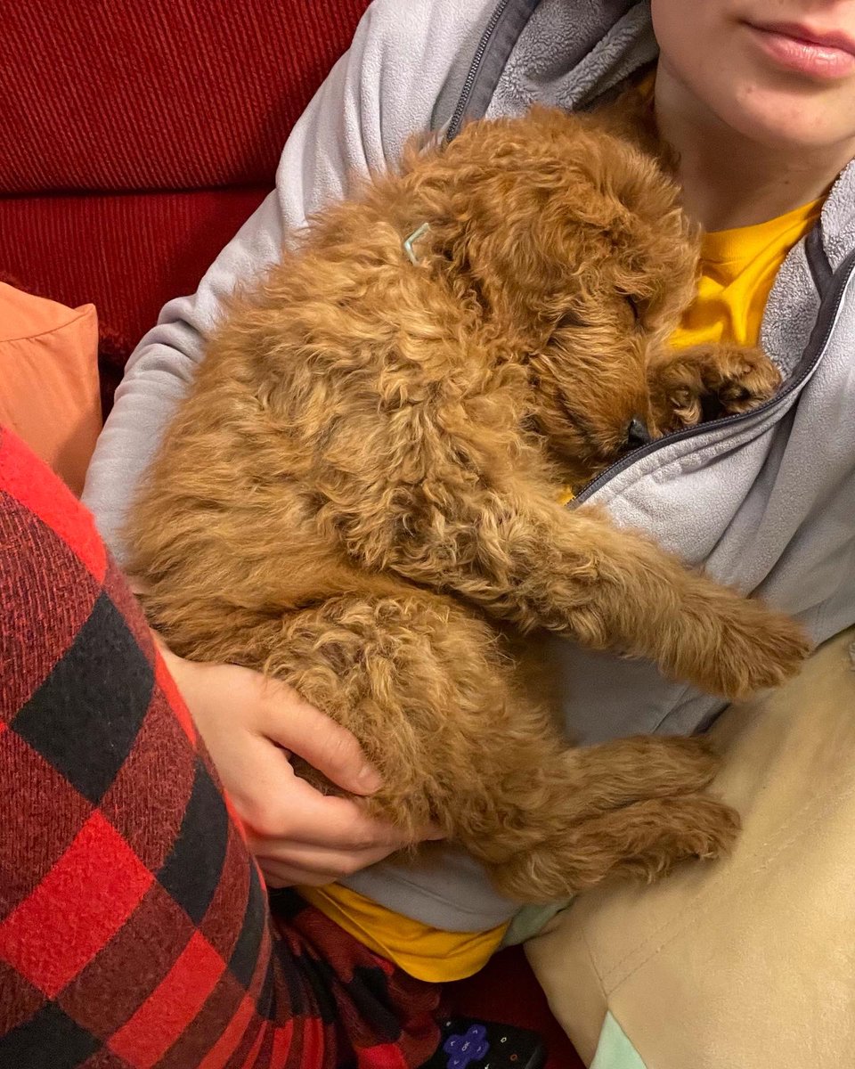 Stephanie Saey, MD tweet media