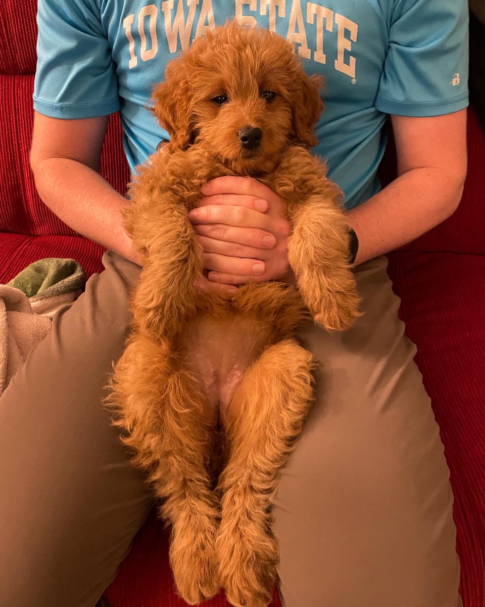 Stephanie Saey, MD tweet media