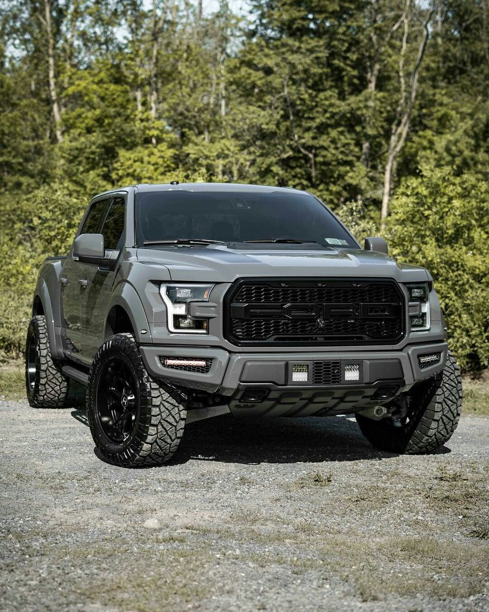 nardo grey Ford Raptor 😍