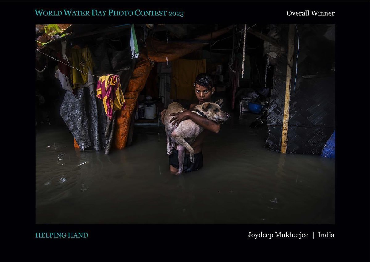 water_contest's tweet photo. Congratulations to the Overall Winner of World Water Day Photo Contest 2023:
‘Helping hand’ Joydeep Mukherjee India 

The area under threat for high tide everywhere water level is increasing a you boy helping his beloved street dog to a safe place https://t.co/3go4c6P6Za