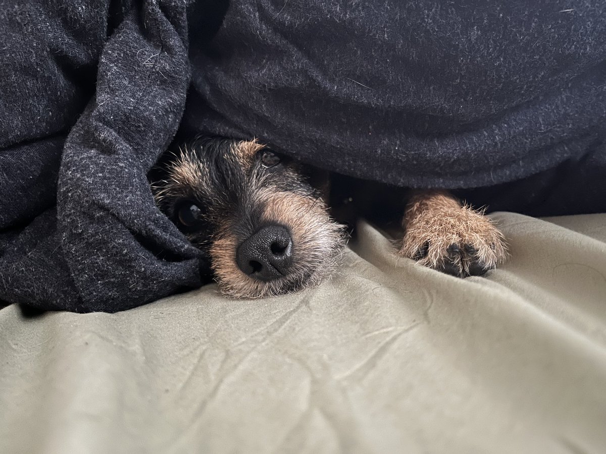 jordaniswebsite's tweet image. Same