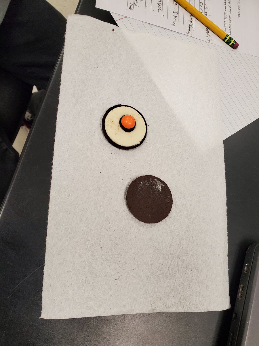 Teresa Walker tweet media