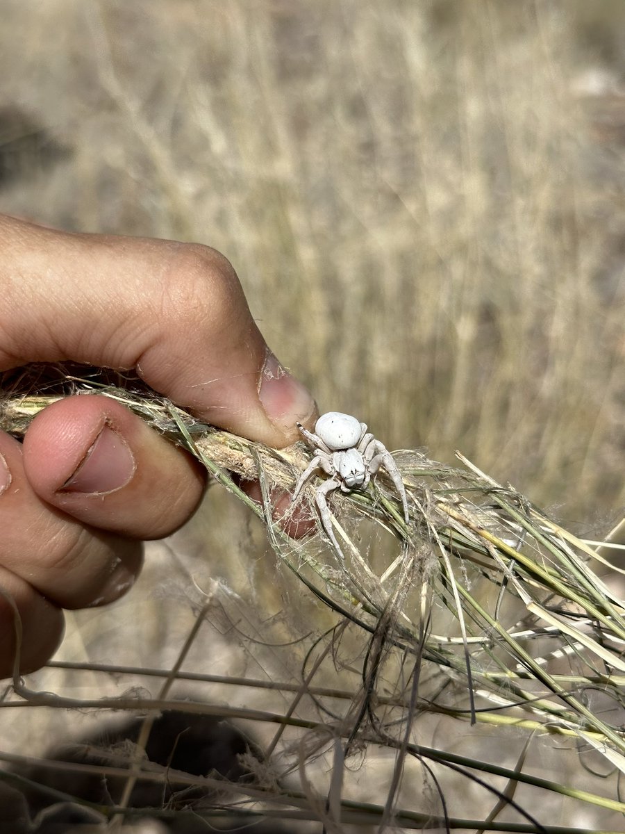 Steven Cassidy tweet media