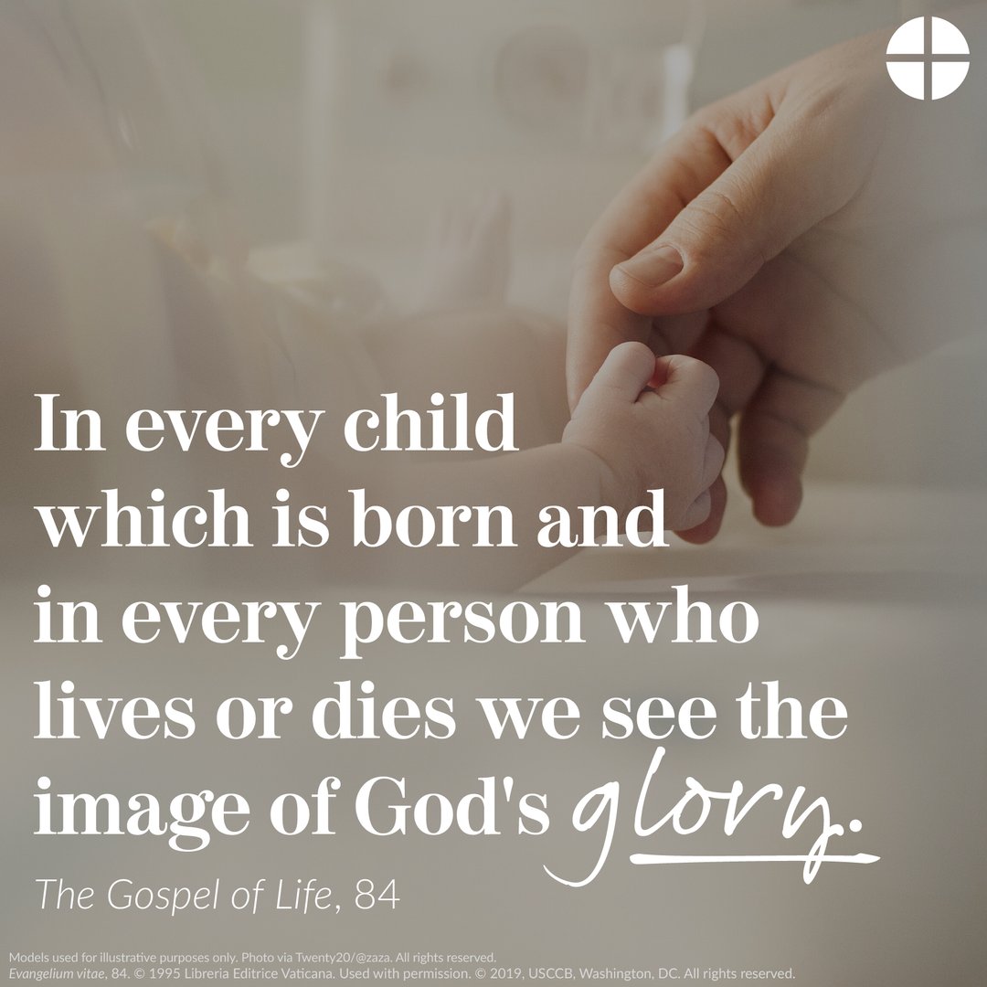 usccbprolife's tweet photo. Every human life is created in the image and likeness of God, with incomparable dignity and value. May we continue to work to embody this truth in our culture. #GospelofLife #prolife #StJPII https://t.co/ScZ6Fgb4rL