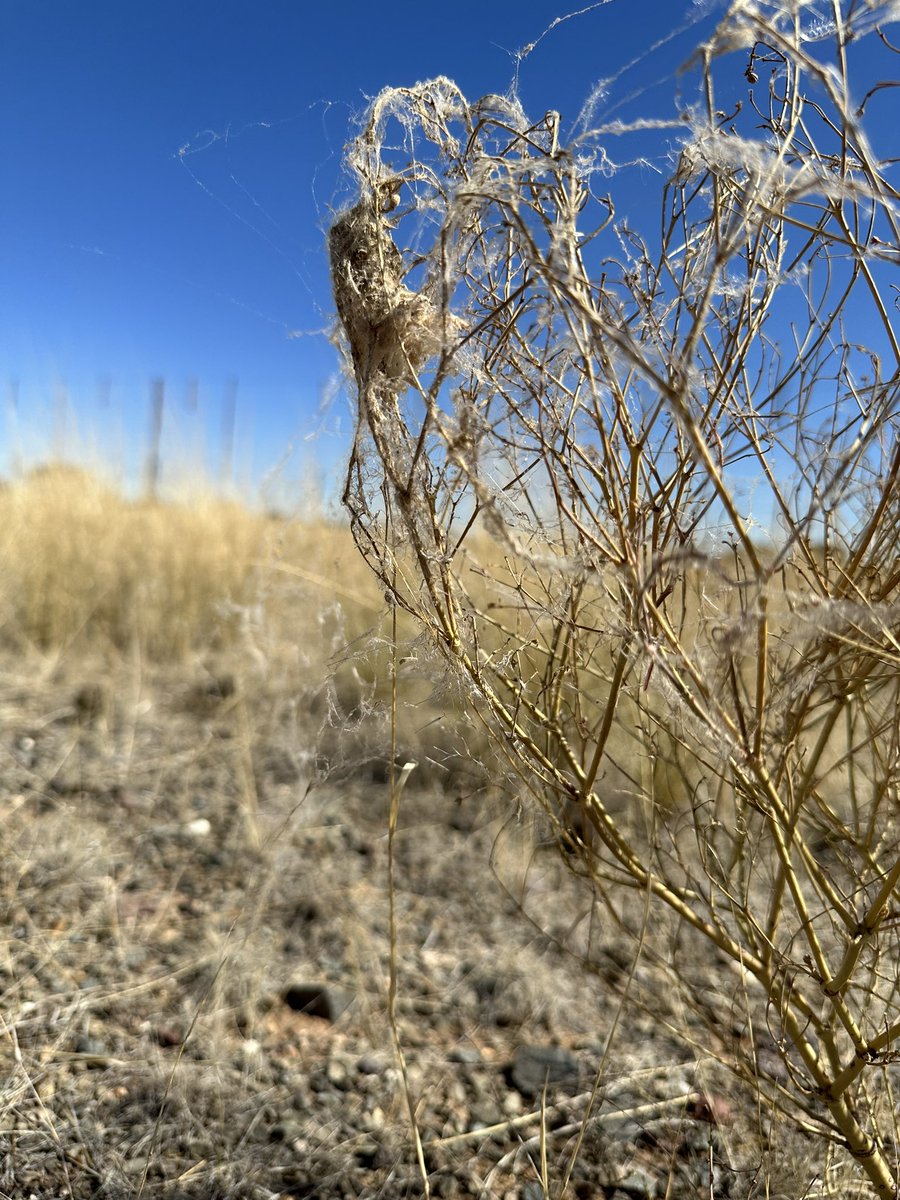 Steven Cassidy tweet media