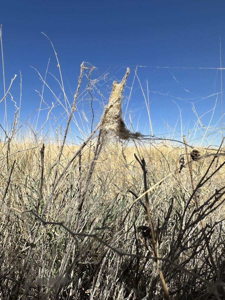 Steven Cassidy tweet media