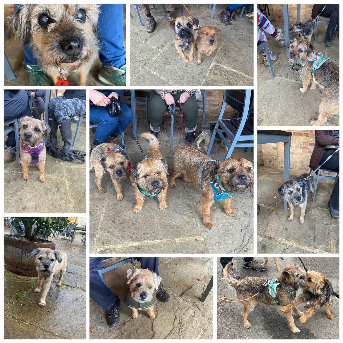 MrSebBT's tweet photo. The most recent #stowetweetup crew salute @Tyler5Eddie 

Run free Sir Eddie aka Unc Eddie 

You made all our days that day #furrylegend 

💔💔😢😢🌈🐾🐾 #btposse https://t.co/o0qUo12NbK
