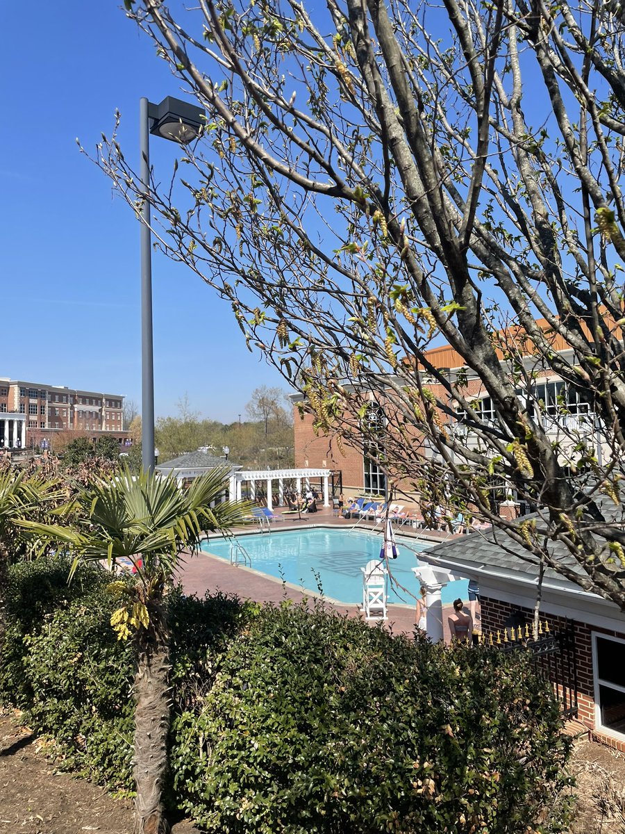 ErinReg1749's tweet photo. What a great visit to High Point University! Beautiful campus, great weather, amazing facilities. NHS students should check it out. Thank you to @HighPointU for the opportunity to visit campus. @MustangGuidance https://t.co/8cF6Ii3959