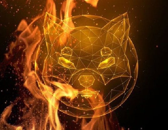 #Shibarium to Use 70% of Every Base Transaction Fee to Burn $SHIB 🔥🔥🔥

#SHIBARMY