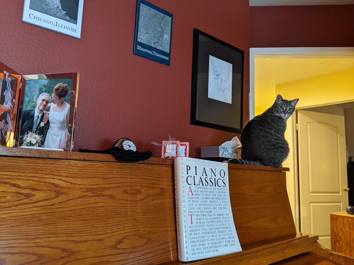 jhjones's tweet photo. #Caturday #shenanigans with #dragonkitty https://t.co/8aqYwshhwN