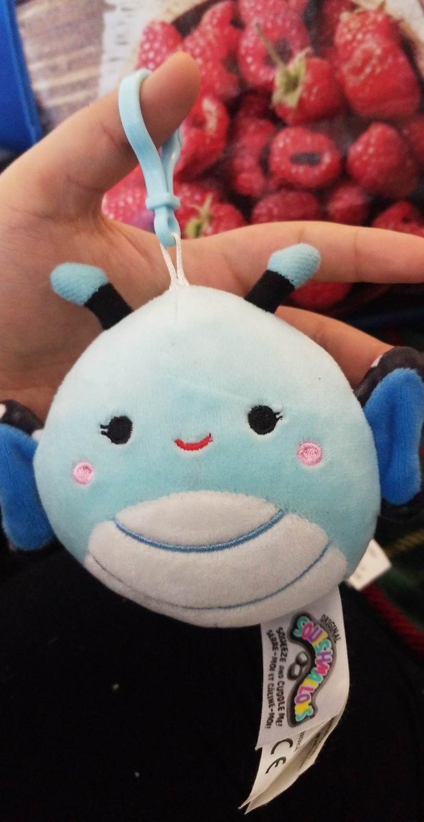 pastelmoonss's tweet photo. I can confirm they are real https://t.co/Eo4hKTl6DB