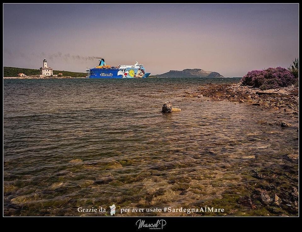 SardegnaAlMare's tweet photo. From https://t.co/EqygCc0KOy
In partenza da Olbia 🛳 🖼 🌇 # SardegnaAlMare #spiaggia #sardegna #sardinia #ichnusa #tramonto #sunset #nave #mobi #mobiline #Olbia #olbiacentro #olbiacostasmeralda #olbiaairport #olbiamarittima #olbiait #volgoolbia #instasardegna #igers_sardegna… https://t.co/Ms3dbwSVGp