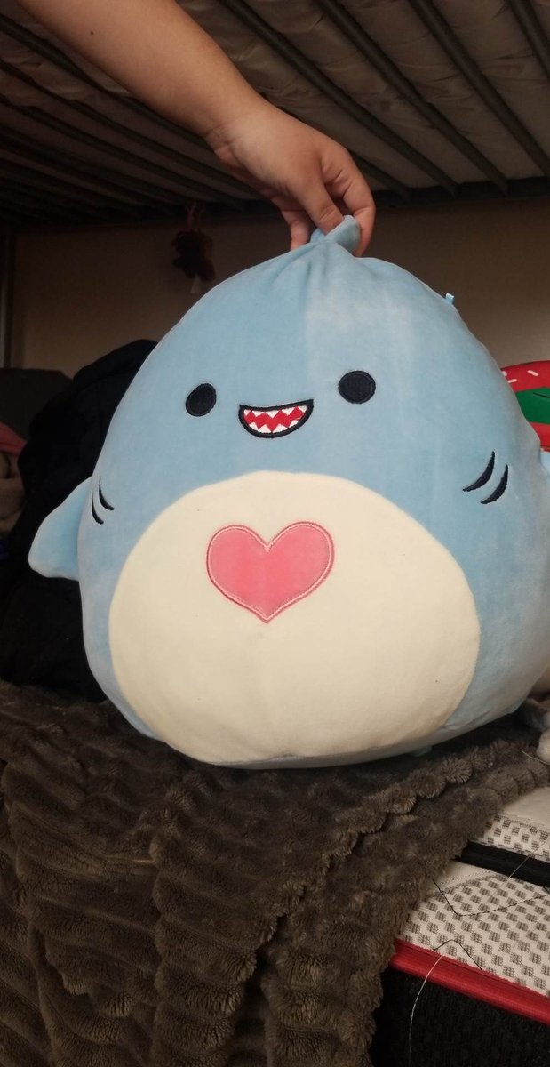 pastelmoonss's tweet photo. I can confirm they are real https://t.co/Eo4hKTl6DB