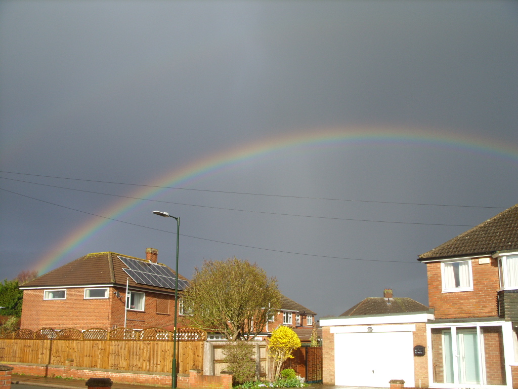 Barry S. tweet media