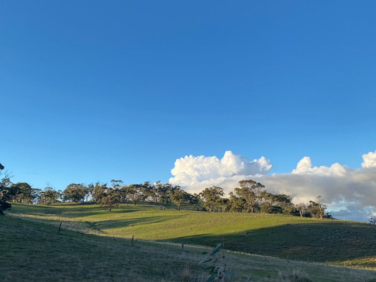 Those who sow with tears will surely reap with a smile.