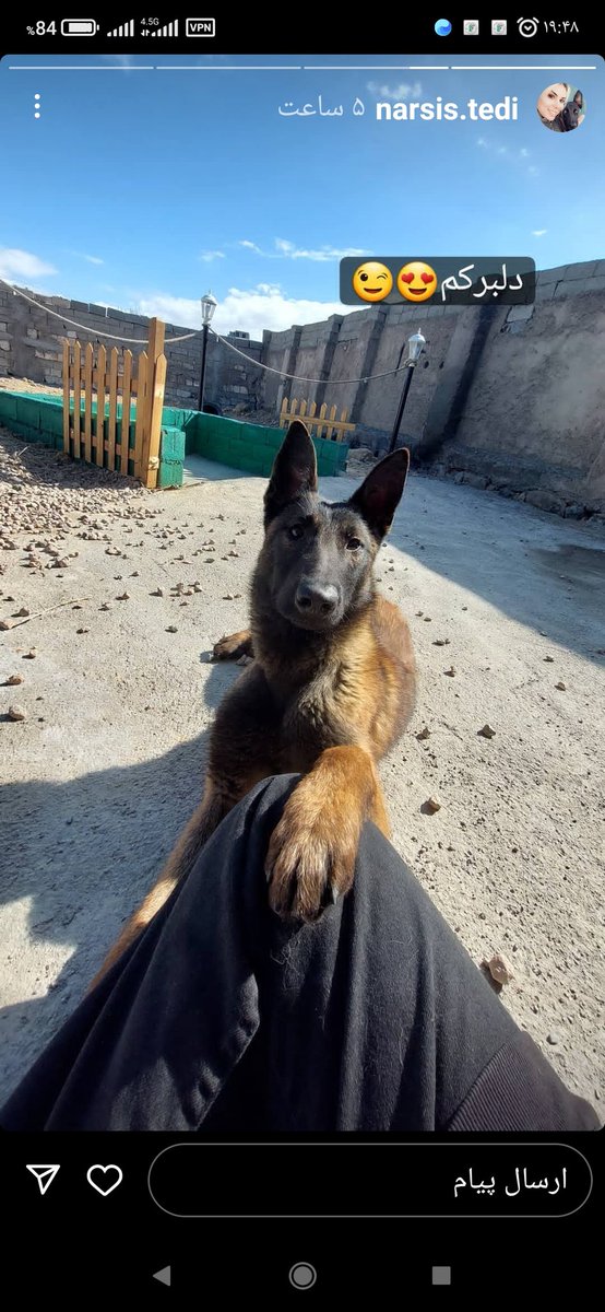 LineMatin's tweet image. عشق واقعی رو اینجا پیدا کنید.
آدما بلد نیستن.
.