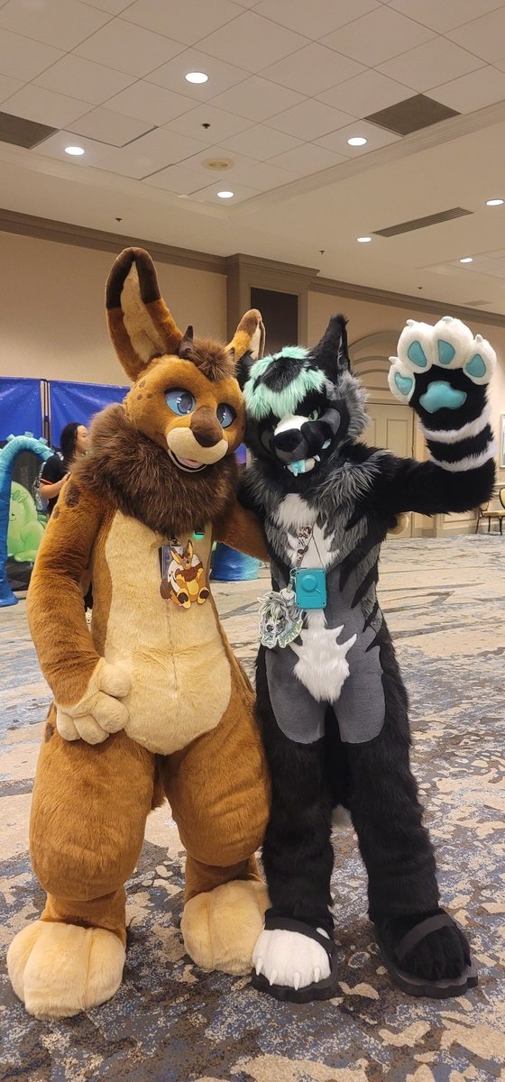 FrostFireguard's tweet photo. Meeting all these suiters at #TFF2023 was so fun. Time for some photo spam! #Fursuits
@FurzyWhiteTiger @AmpereDragon @MagnusVesper @ClanHyena @AlienPoosy @DarwinTheFox https://t.co/u0Ke79TSh9
