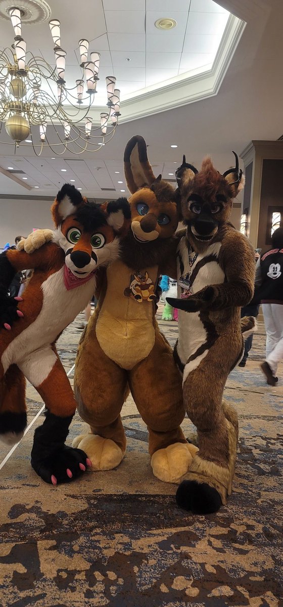FrostFireguard's tweet photo. @ThomasDoebi @LunaticSuits @AlexTheOtt1 @Strawdeery @LilCultie https://t.co/2WfyTyyFHe