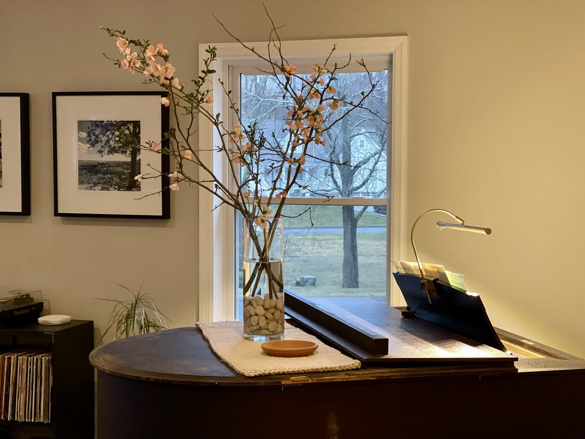 wasatchpatch's tweet photo. At least it’s spring indoors. https://t.co/wPi7qA46sM
