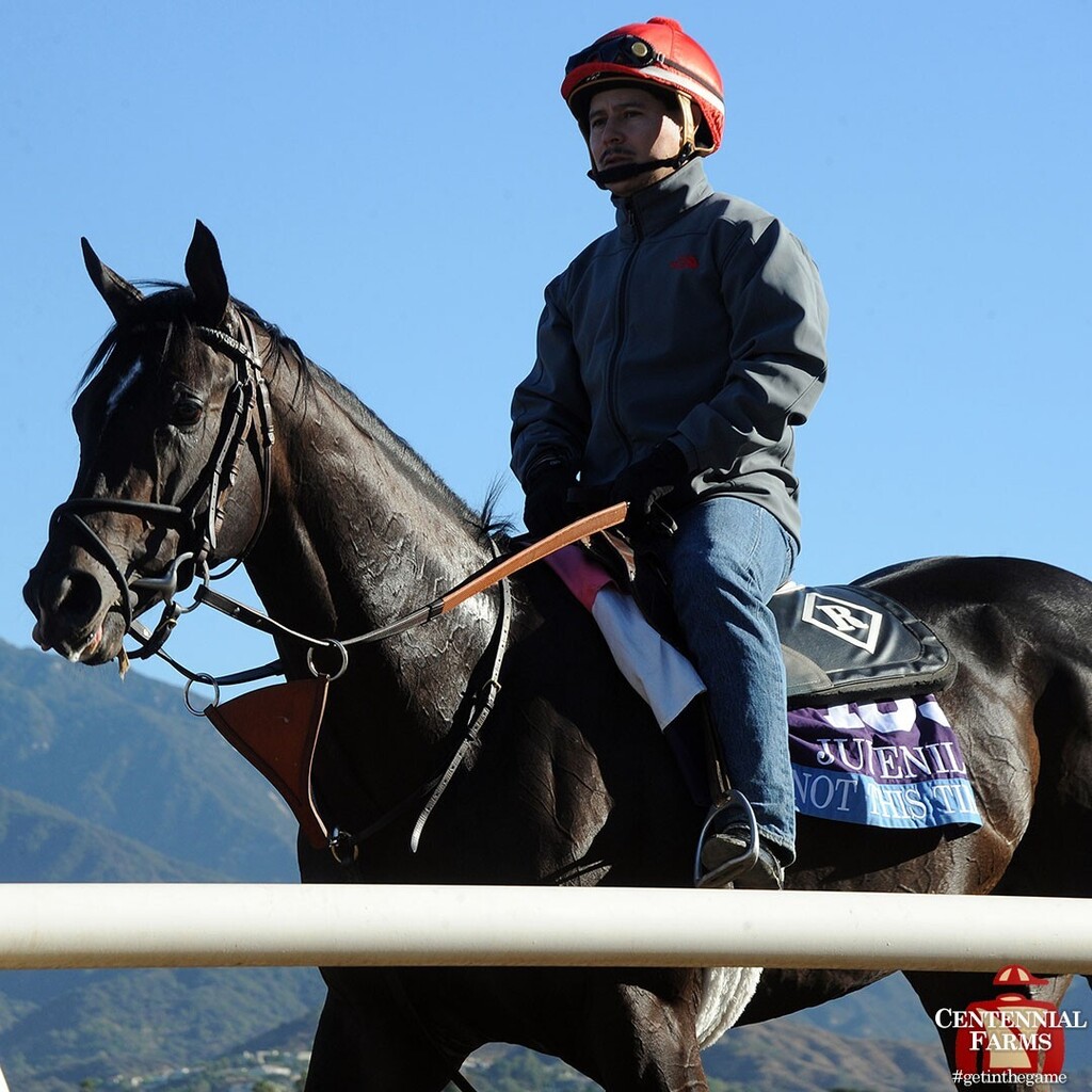 Centennial_Farm photo