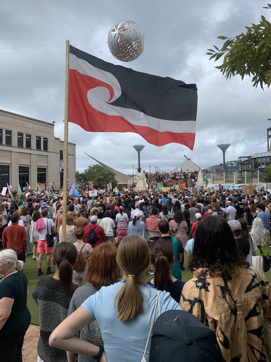 Absolute beautiful turn out in Pōneke today thousands of people here in solidarity, too many to fit in the square #LoveNotHate #TransRightsAreHumanRights #NoPlatformForTransphobia @QueerEndurance 

Mana Irawhiti Takatāpui ✊
Always have been here, Always will be here 🏳️‍⚧️ 🌈
