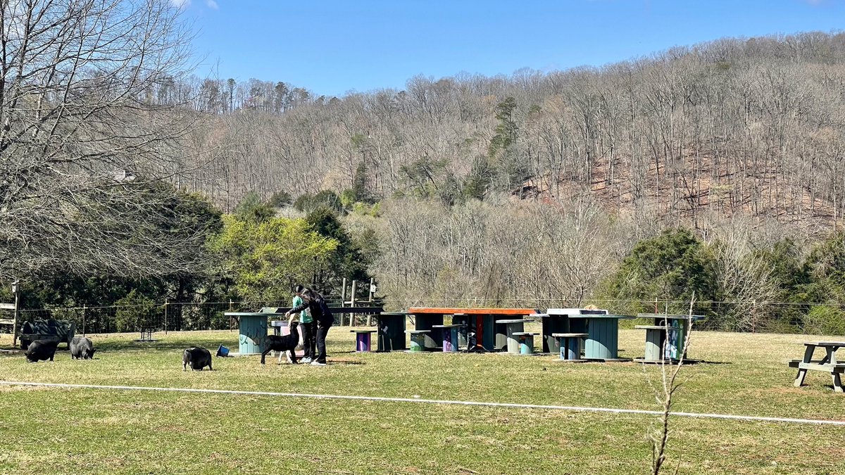 Service Saturday with West High Key Club @ Magnolia Harbor Care Farm ❤️💙